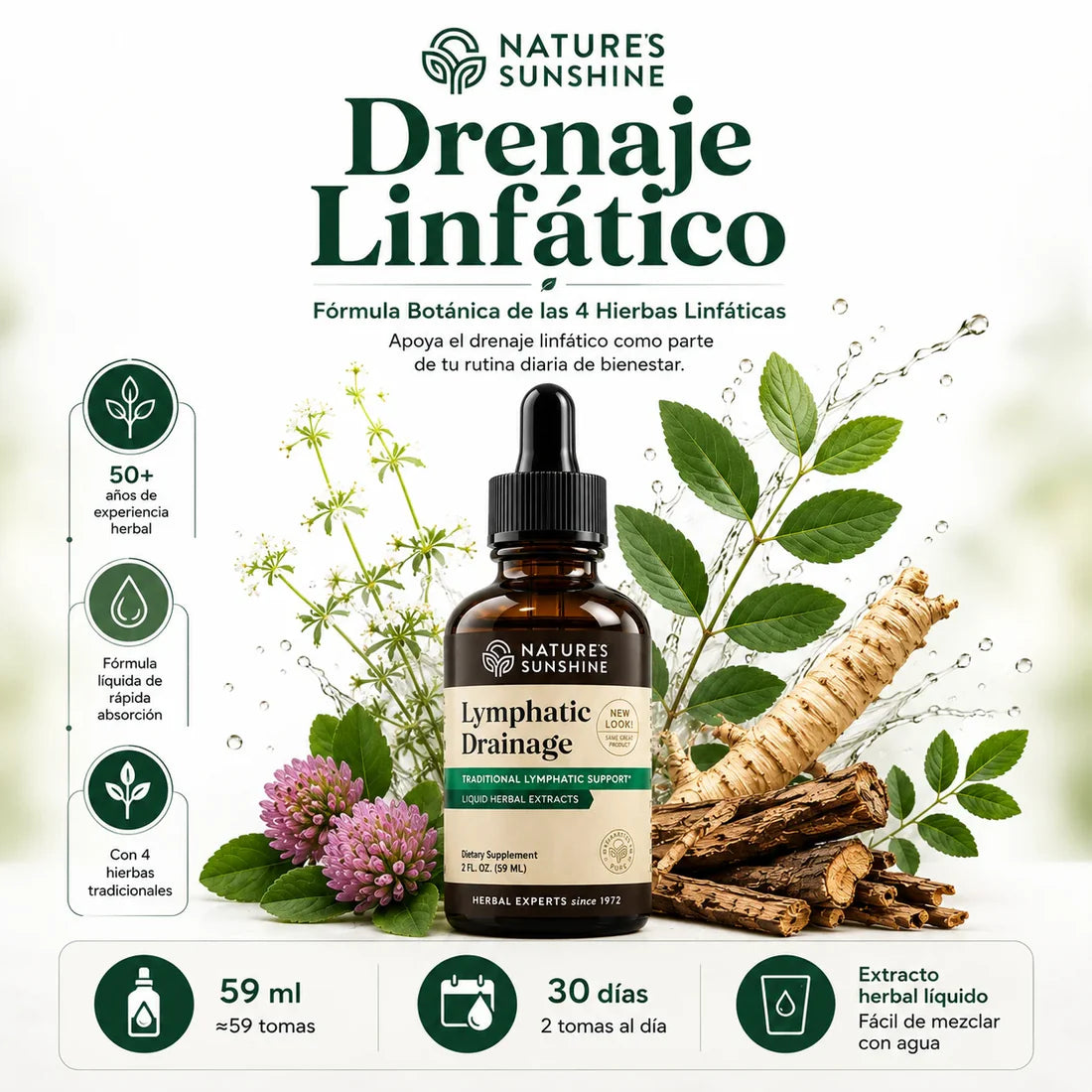 Lymphatic Drainage: Drena lo que tu cuerpo ya no necesita